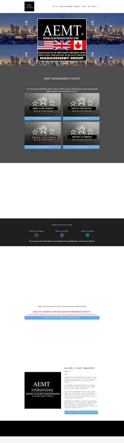 Screenshot aemtmanagement.com