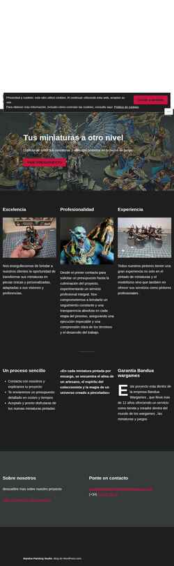 Screenshot banduapaintingstudio.com