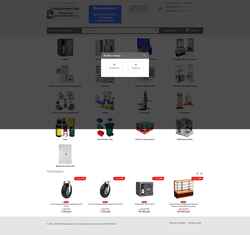 Snímek obrazovky safe-salon.ru