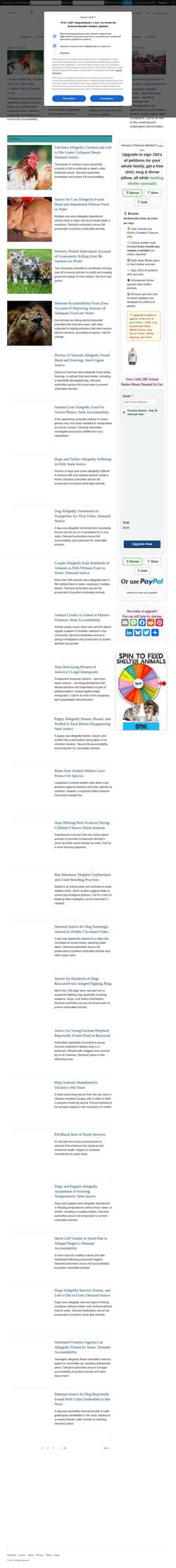 Screenshot forcechange.com