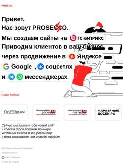Skjermdump pro-seo.ru