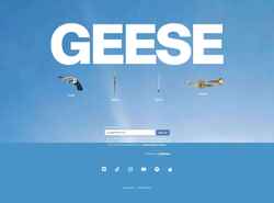 Screenshot geeseband.com