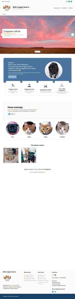 Screenshot net-cat.ru