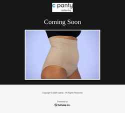 Zrzut ekranu cpanty.com