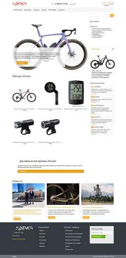 Posnetek zaslona sportex.ru
