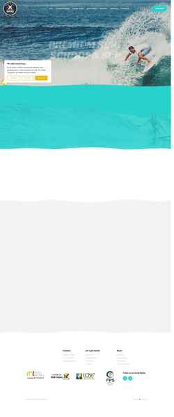 Screenshot surfxpert.com
