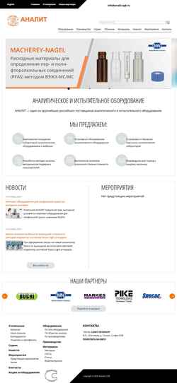 Posnetek zaslona analit-spb.ru