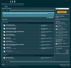 Screenshot www.thetfp.com