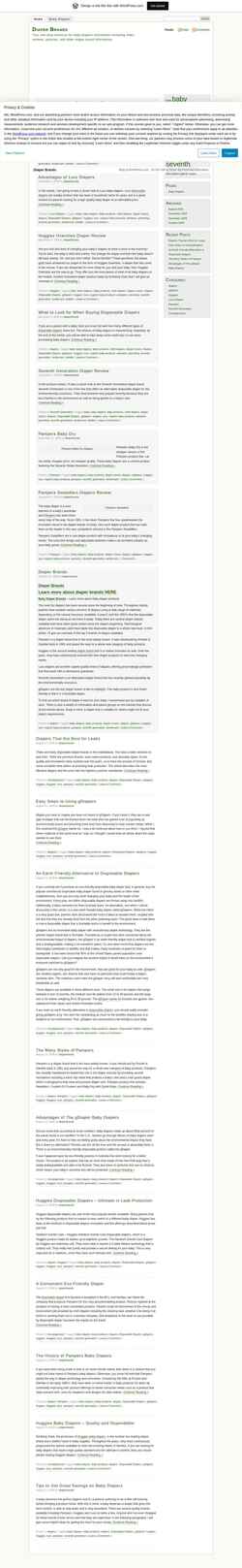 Screenshot diaperbrands.wordpress.com