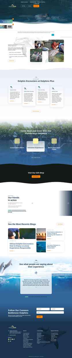 Screenshot www.dolphinsplus.com