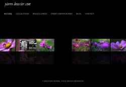 Screenshot pierre-bouvier.com