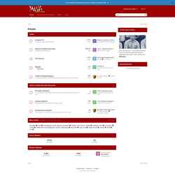 Снимак екрана www.ynwa.tv