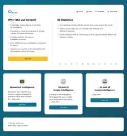 Snímek obrazovky test-iq.com