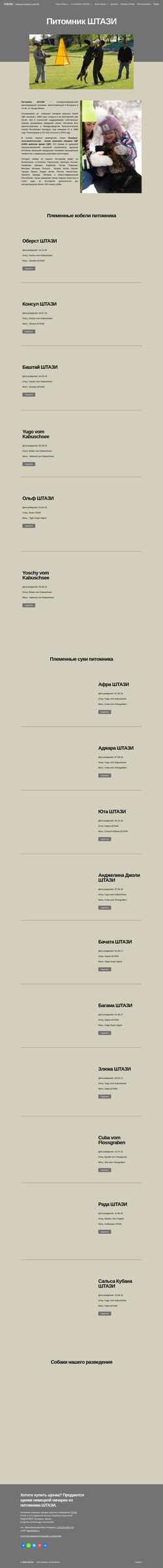 Schermata gsd.ru