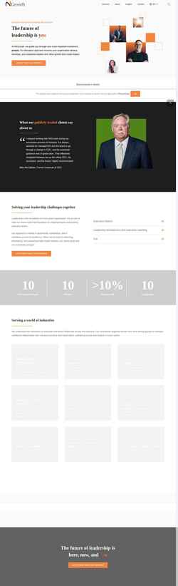 Screenshot www.n2growth.com