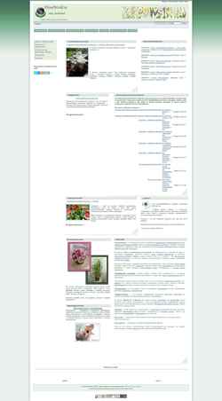 Schermata floralworld.ru