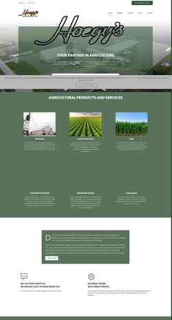 Screenshot hoegys.com