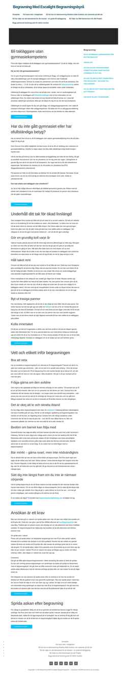 Screenshot escalight.com