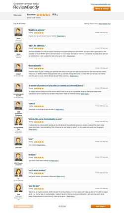Screenshot reviewbuddy.reviewbuddy.com