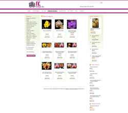 Screenshot rforchids2.mybigcommerce.com