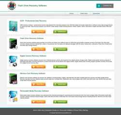 Captură de ecran flashdriverecoverysoftware.com