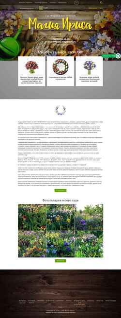 Screenshot iris-sad.ru