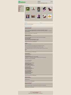 Screenshot www.babamo.com