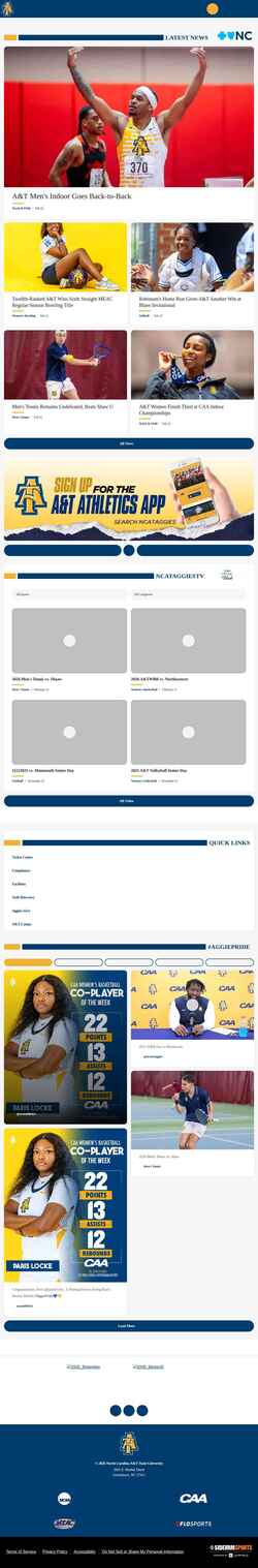 Captura de pantalla ncataggies.com
