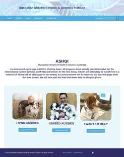Screenshot www.ashgi.org