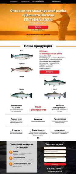 Screenshot ketaopt.ru