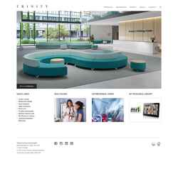 Screenshot trinityfurniture.com