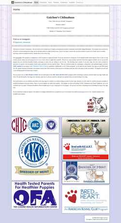Screenshot www.guichonchi.com