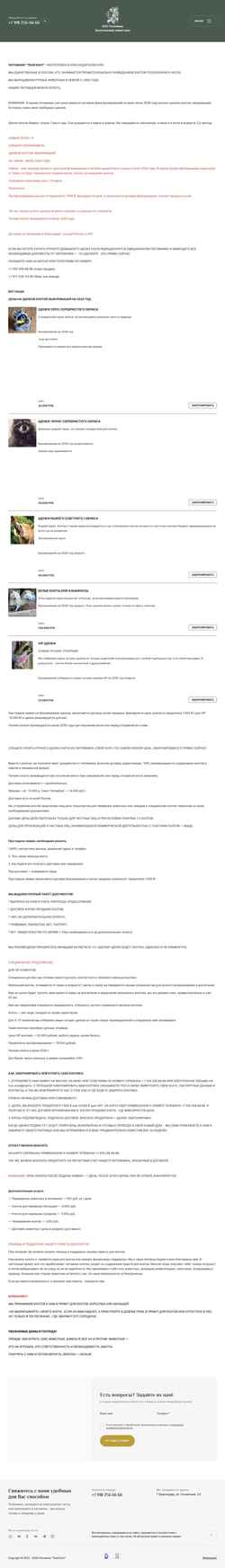 Schermata tvoi-enot.ru