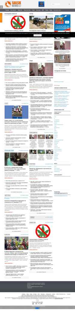 Skærmbillede salsknews.ru