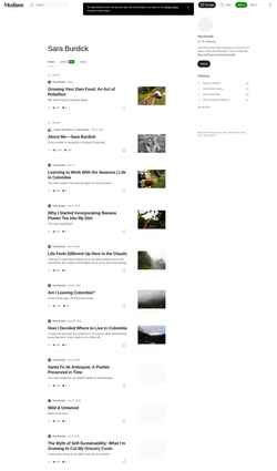 Screenshot saraburdick.medium.com