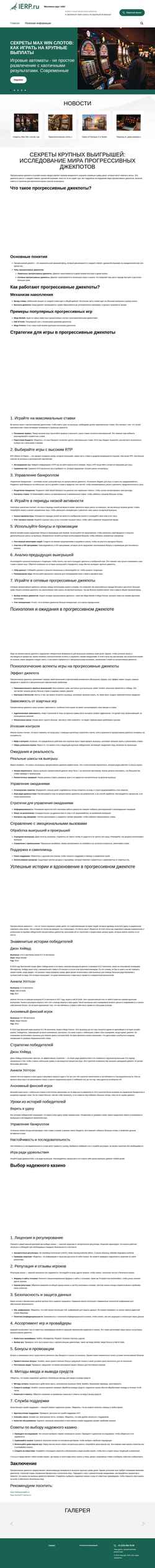 Screenshot ierp.ru