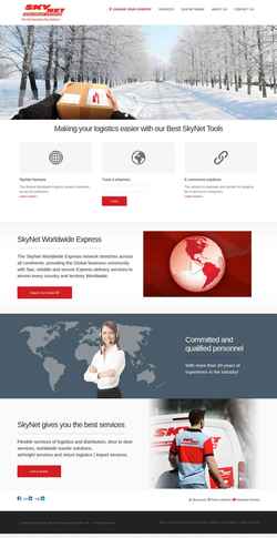 Captură de ecran skynet.net