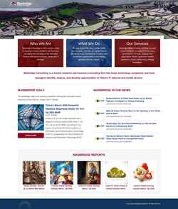 Screenshot www.marbridgeconsulting.com