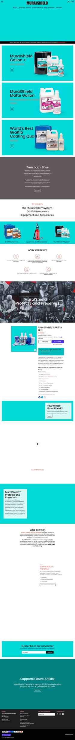 Screenshot muralshield.com