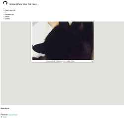 Skärmdump iknowwhereyourcatlives.com