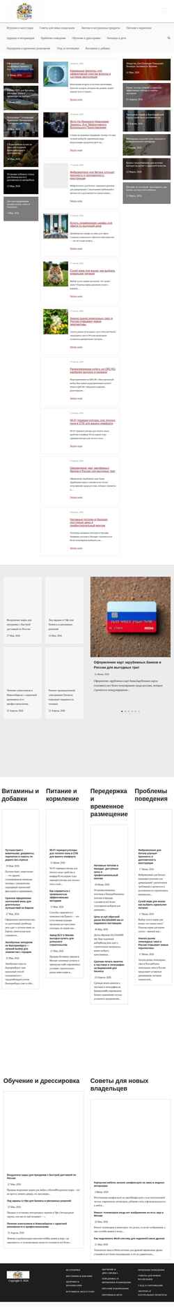 Screenshot donslon.ru
