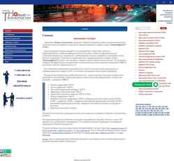 Screenshot nt-tmg.ru