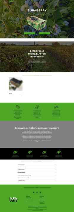 Screenshot bubaberry.com.ua