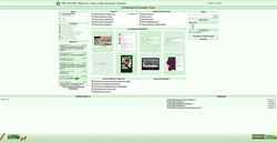 Schermafbeelding born2kill.clan.su