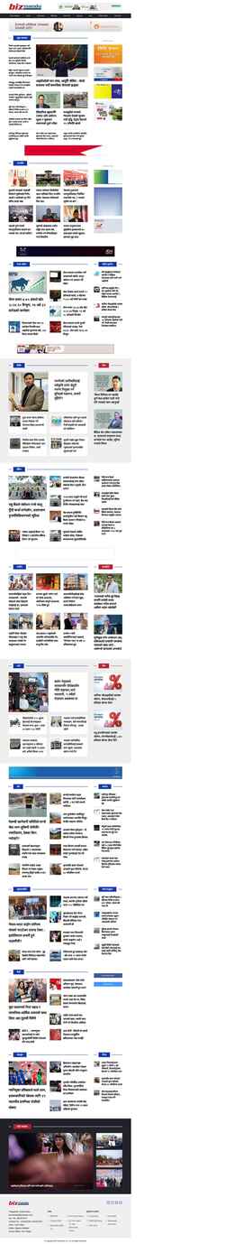 Screenshot bizmandu.com