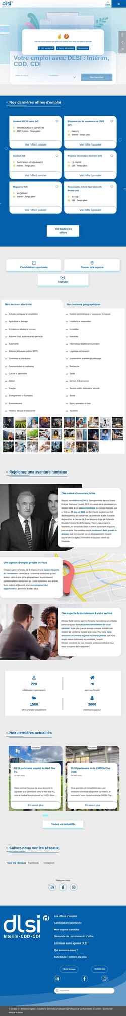 Schermata dlsi-emploi.com