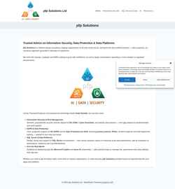 Screenshot pfp-solutions.com