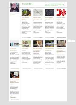 Screenshot simanaitissays.com