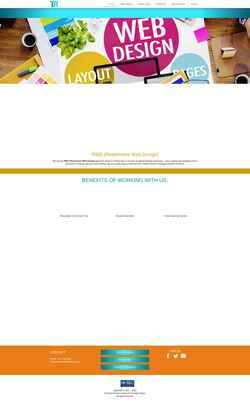 Screenshot therealbiz.net