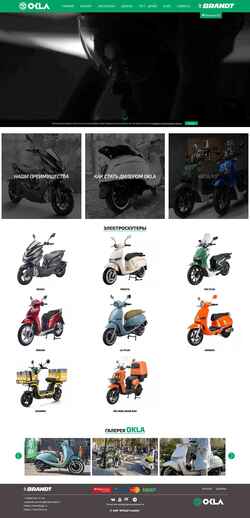 Snímek obrazovky brandtokla.ru